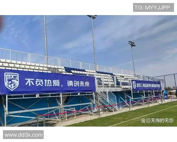 20年坚守只为一场胜利 球迷无悔陪伴感动全网